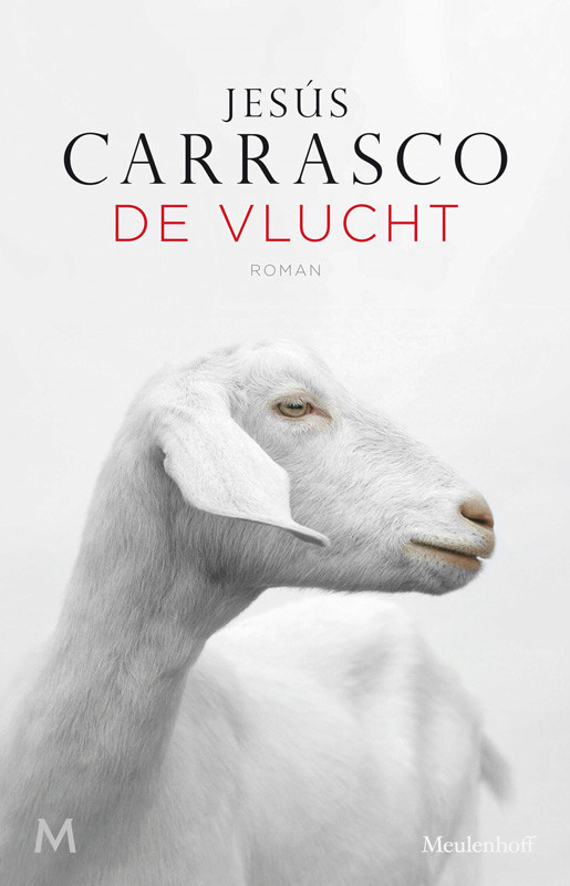 De vlucht