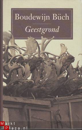 Geestgrond