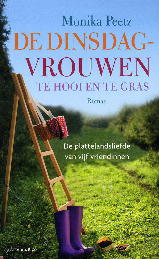De dinsdagvrouwen te hooi en te gras