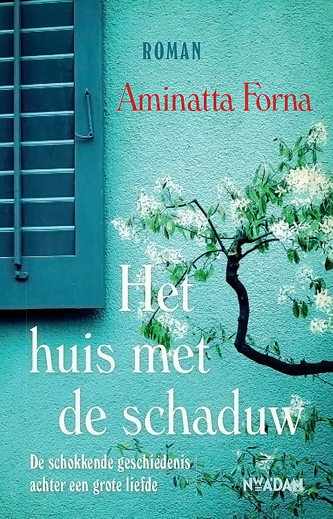 Het huis met de schaduw