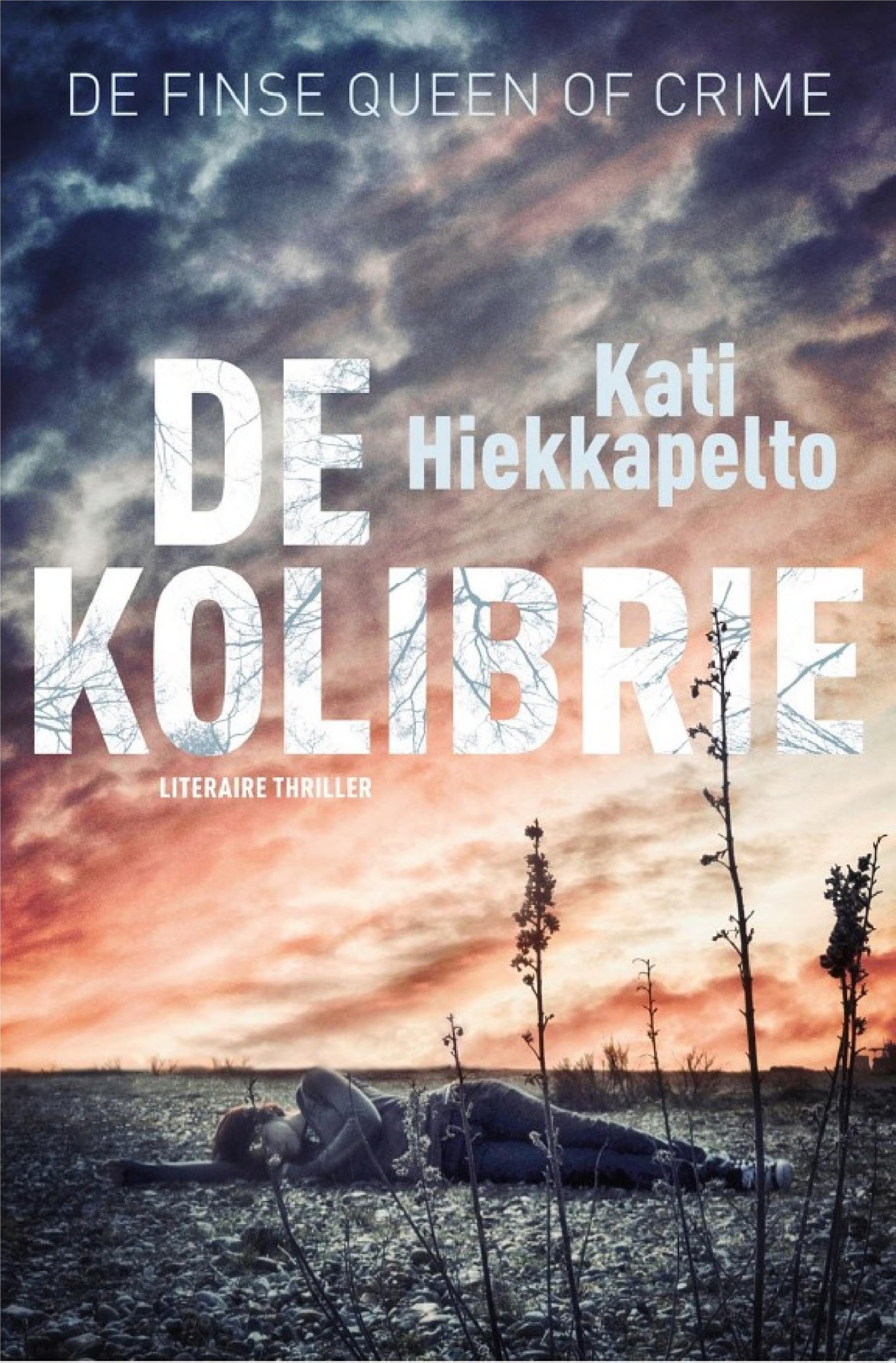 De Kolibrie