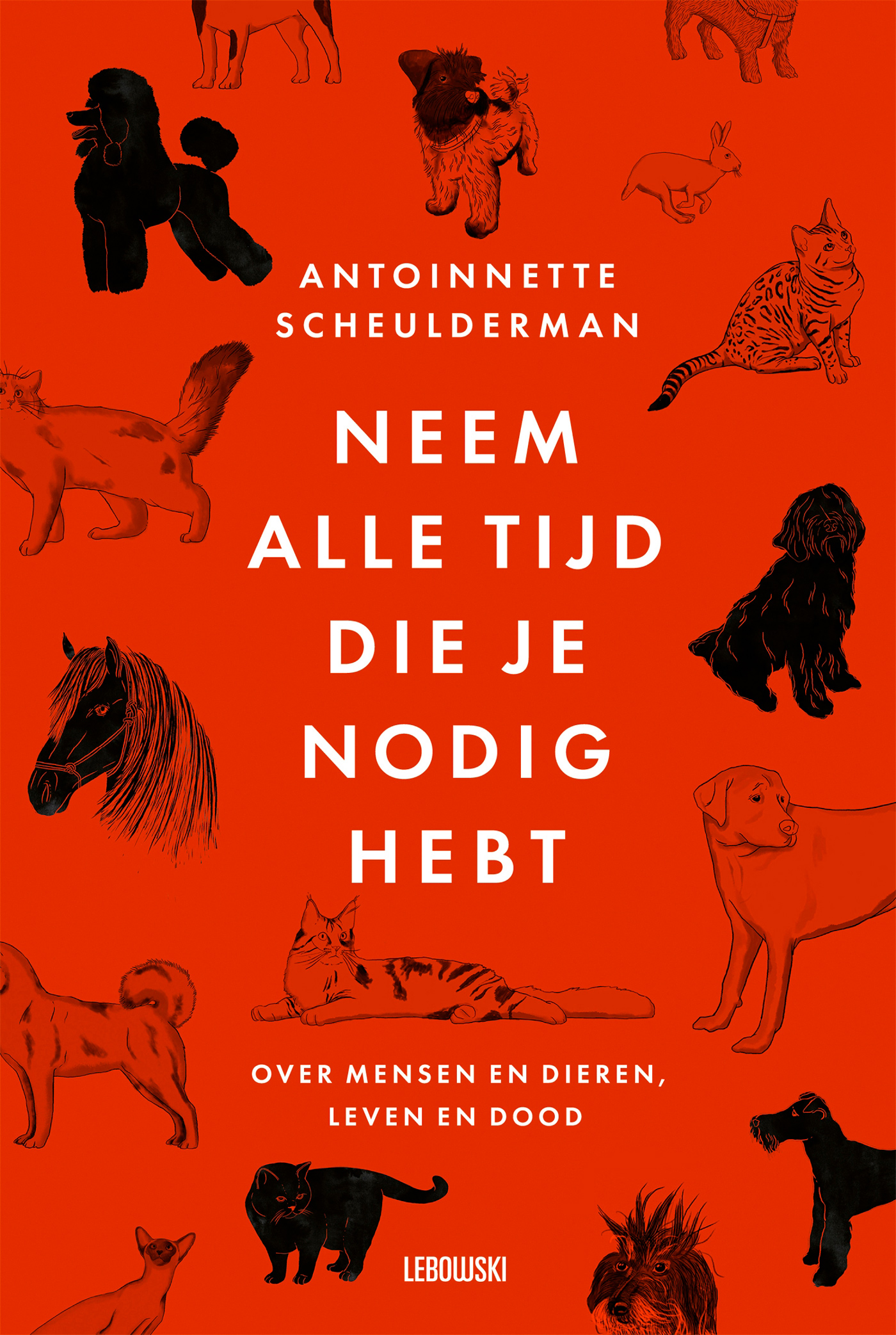 Neem alle tijd die je nodig hebt