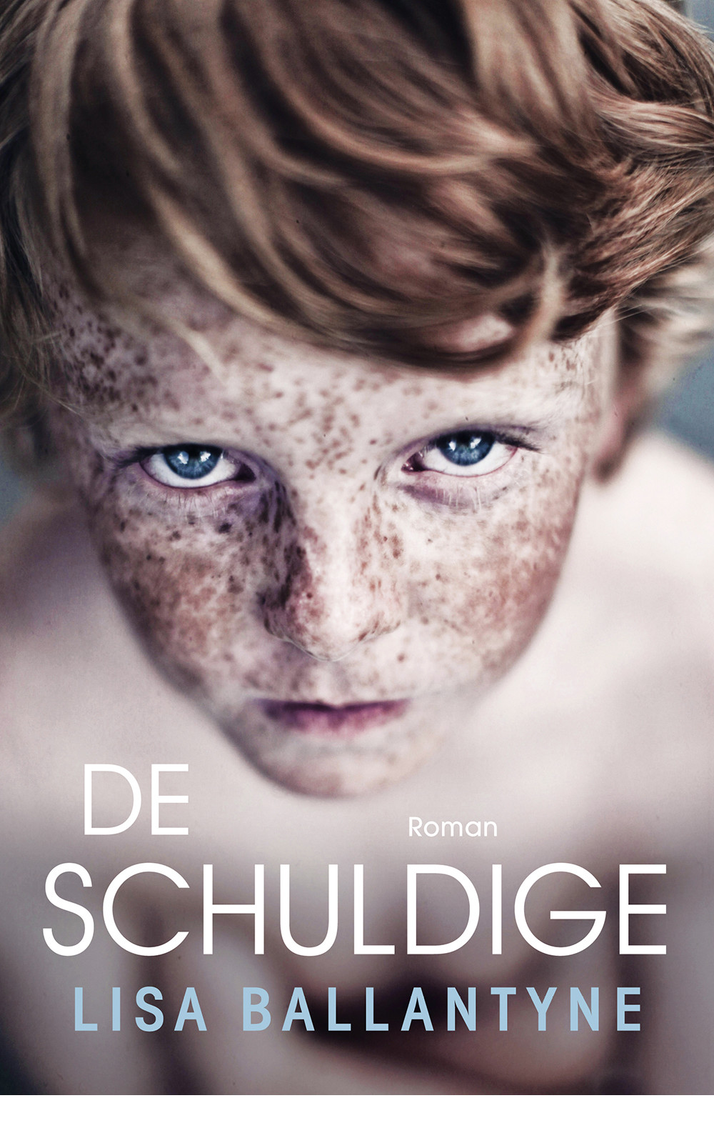 De schuldige