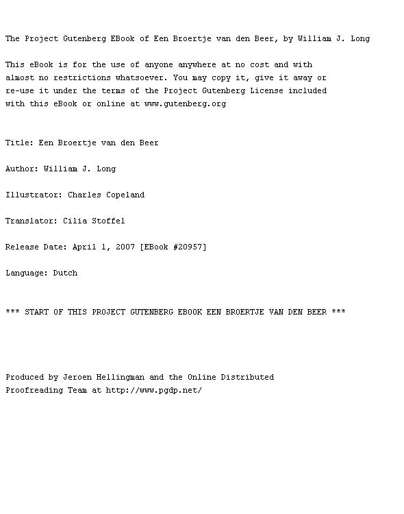 Een broertje van den beer