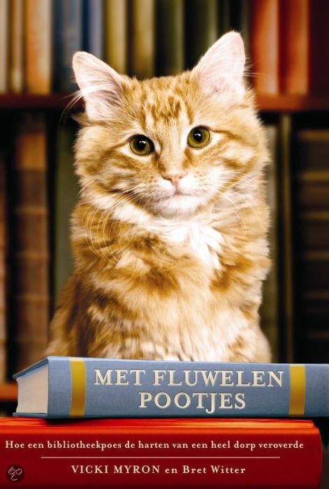 Met fluwelen pootjes: Hoe een biblio­theek­kat de harten van de hele wereld veroverde