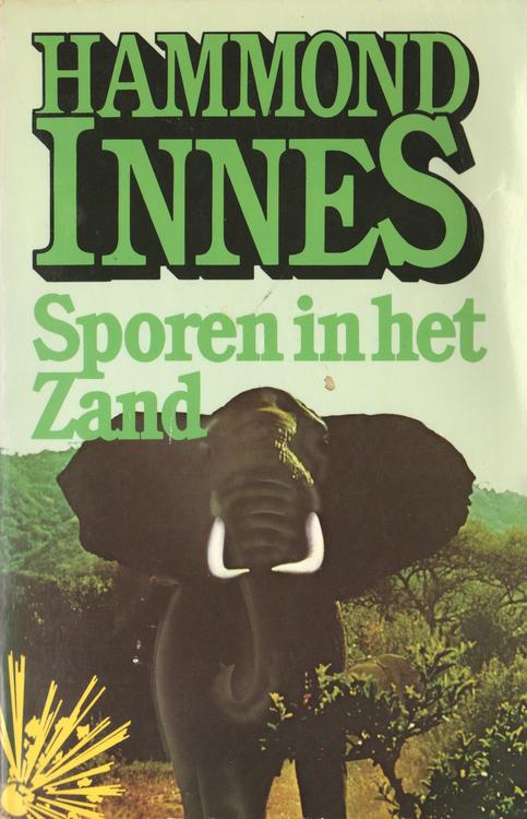 Sporen in het zand